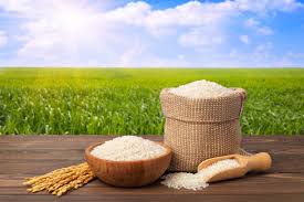 Rice